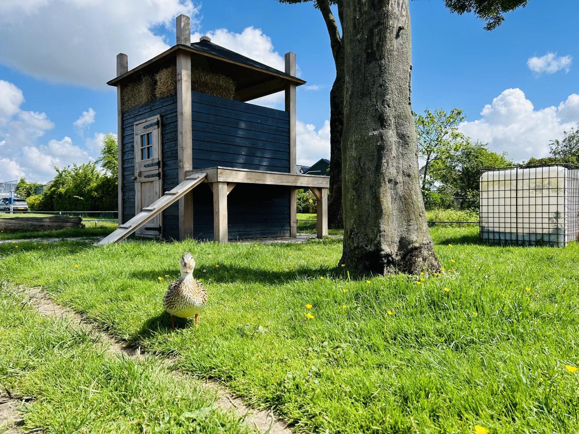 Bungalowpark De Horn - Floresta 215 Dirkshorn Екстериор снимка